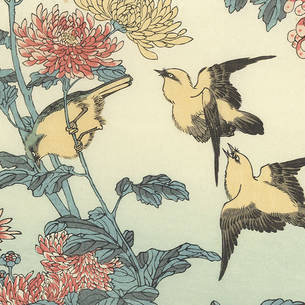 Chrysanthemum and Orioles Fan Print by Toyokuni III/Kunisada (1786 - 1864)