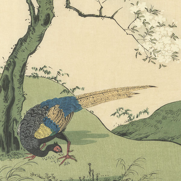Cherry Blossoms and Pheasant by Hyakki (active mid-18th century)