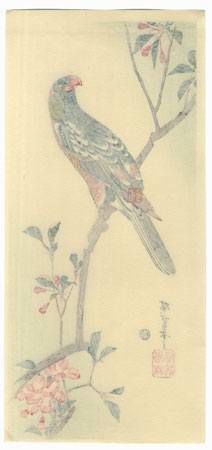 Aronia and Parrot by Hiroshige (1797 - 1858) 