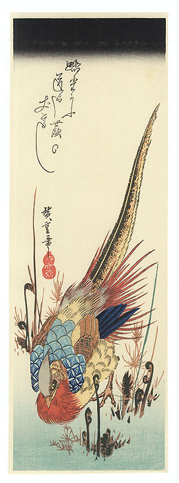 Golden Pheasant and Fern Shoots by Hiroshige (1797 - 1858) 