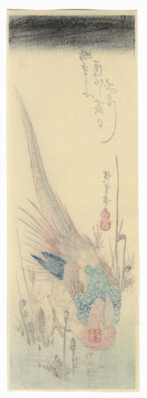 Golden Pheasant and Fern Shoots by Hiroshige (1797 - 1858) 