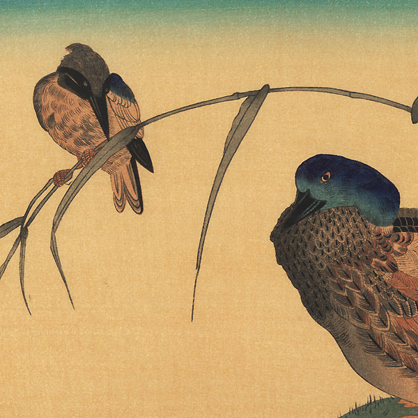 Mallard Ducks and Kingfisher by Utamaro (1750 - 1806)
