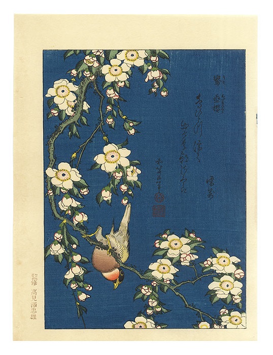 Bullfinch and Weeping Cherry by Hokusai (1760 - 1849)