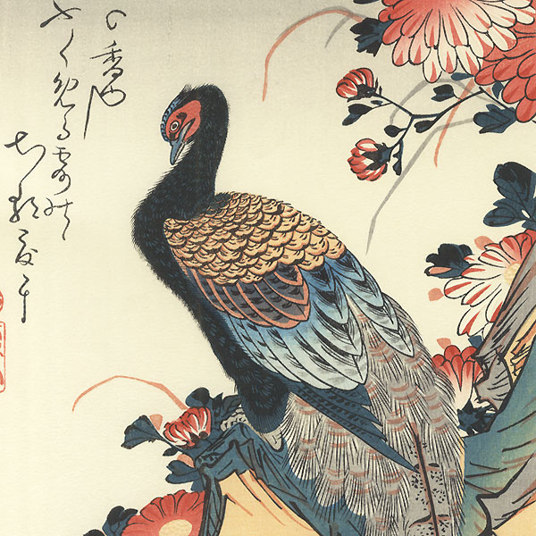 Pheasant and Chrysanthemums by Hiroshige (1797 - 1858)