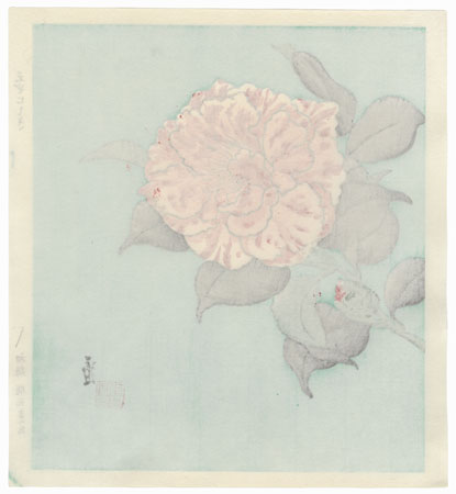 Camellia by Tokuriki (1902 - 1999)