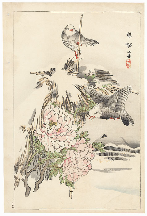 Bulbuls and Winter Peony by Kono Bairei (1844 - 1895)