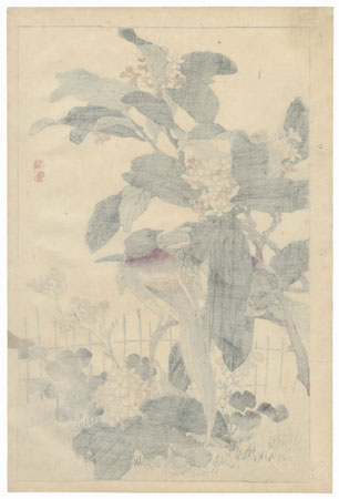 Japanese Paradise Flycatchers and Loquat by Kono Bairei (1844 - 1895)