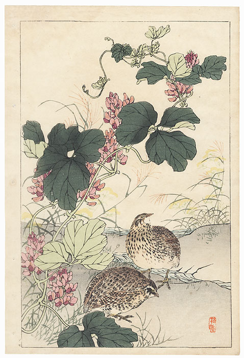 Quail and Kudzu Vine by Kono Bairei (1844 - 1895)