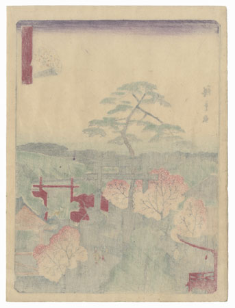 Hachiman Shrine at Ichigaya by Hiroshige II (1826 - 1869)