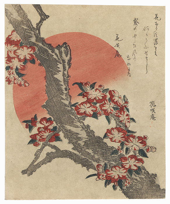 Cherry Blossom and Sun Surimono by Hokusai (1760 - 1849) 