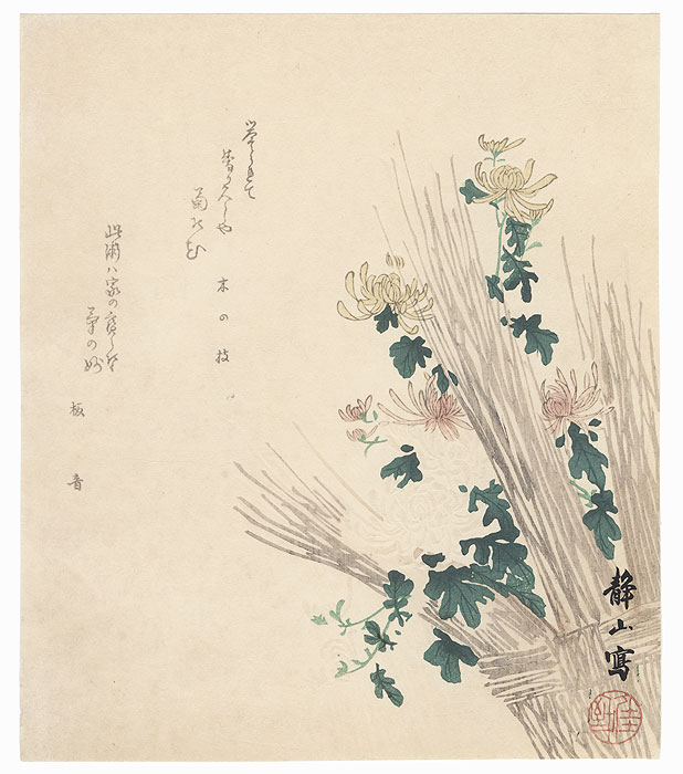 Chrysanthemums Surimono by Edo era artist (not read)