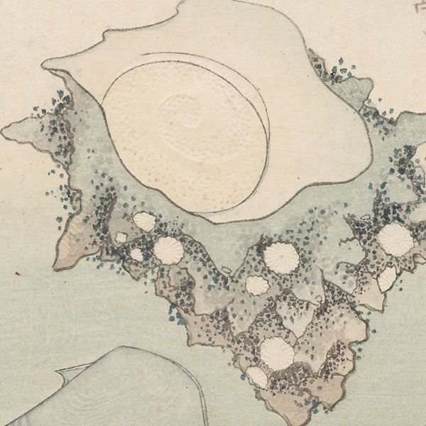 Seashells Surimono by Hokkei (1780 - 1850)
