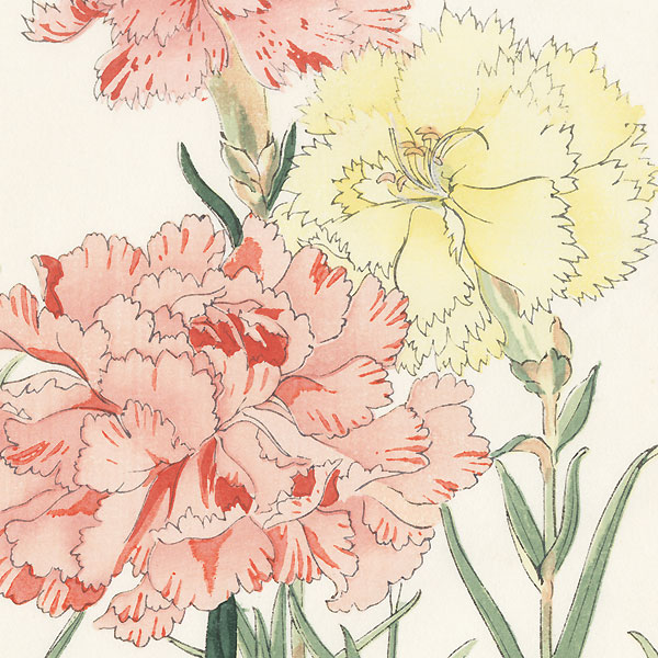 Carnation by Tanigami Konan (1879 - 1928)