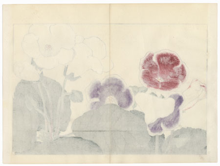 Delphinium by Tanigami Konan (1879 - 1928)
