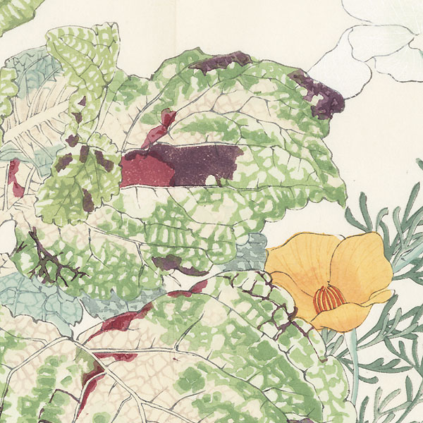 California Poppy and Coleus by Tanigami Konan (1879 - 1928)