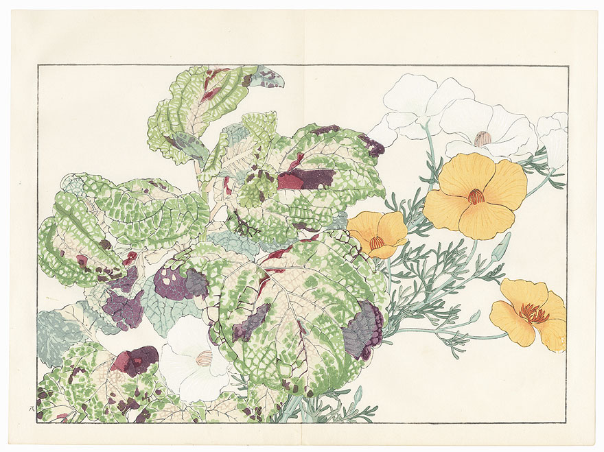 California Poppy and Coleus by Tanigami Konan (1879 - 1928)