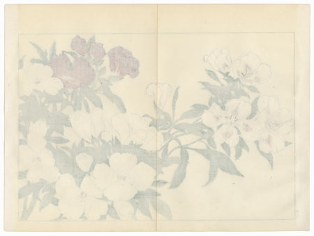 Godetia by Tanigami Konan (1879 - 1928)