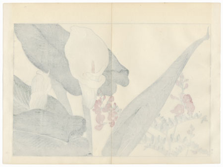 Calla Lily and Lathyrus by Tanigami Konan (1879 - 1928)