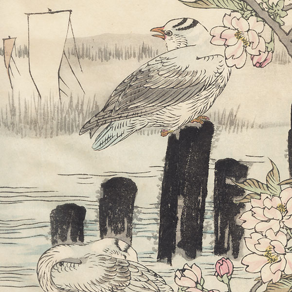 Blossoming Cherry and Gulls by Kono Bairei (1844 - 1895)