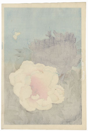 Butterfly and Tree Peony by Bakufu Ohno (1888 - 1976)