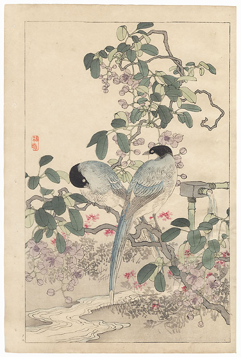 Akebia quinata (Chocolate Vine) and Azure-winged Magpies by Kono Bairei (1844 - 1895)