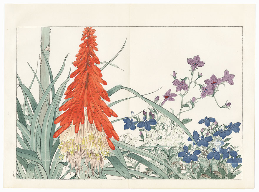 Lobelia and Tritoma by Tanigami Konan (1879 - 1928)