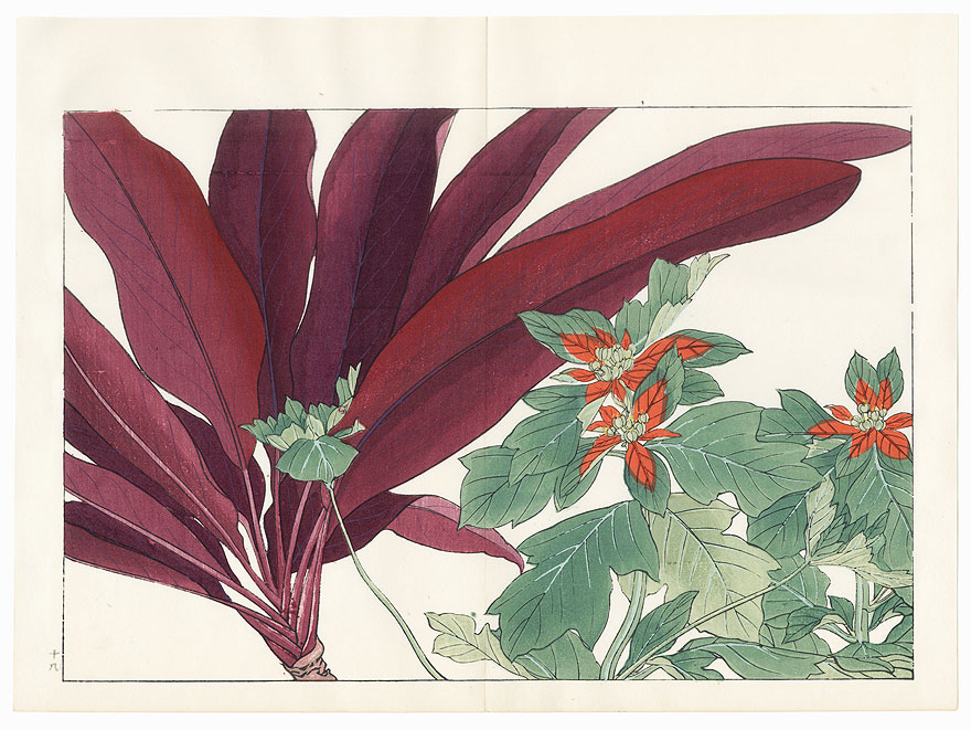 Poinsettia and Dracaena by Tanigami Konan (1879 - 1928)