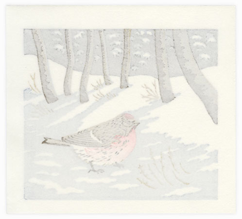Redpoll, 2013 by Mihoko Kasamatsu (born 1932)