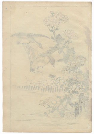 Ducks and Chrysanthemums by Kono Bairei (1844 - 1895)