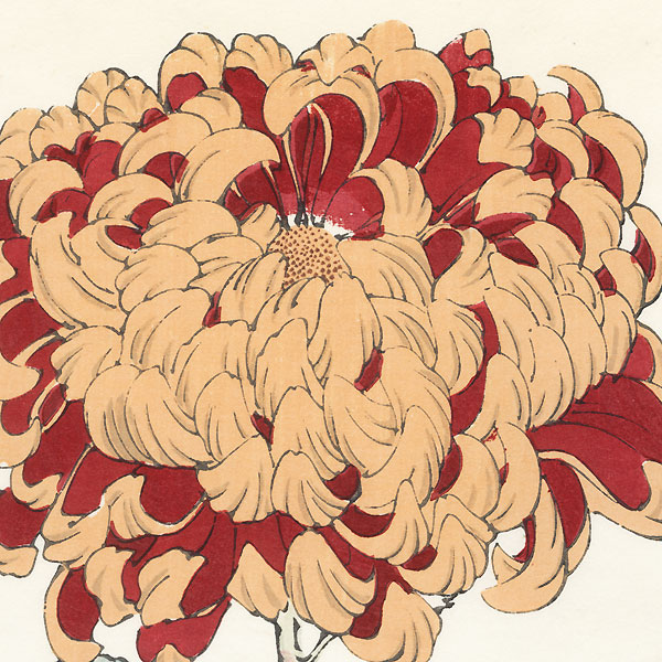 Nine-fold Gold Brocade Chrysanthemum by Keika Hasegawa (active 1892 - 1905)