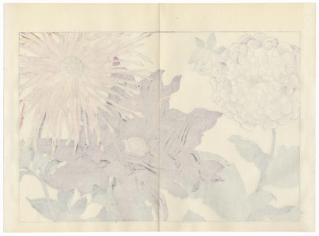 Dahlia by Tanigami Konan (1879 - 1928)