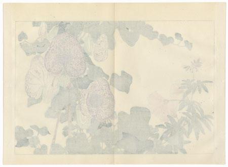 Aristolochia and Albizzia by Tanigami Konan (1879 - 1928)
