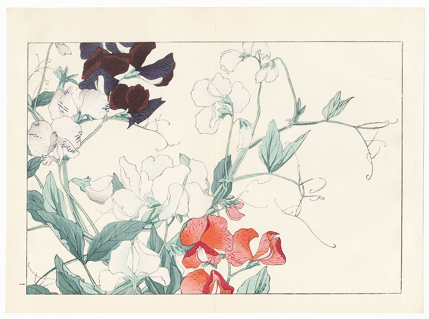 Sweet Pea by Tanigami Konan (1879 - 1928)