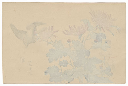 Flying Bird and Chrysanthemums by Shigemasa (1739 - 1820)
