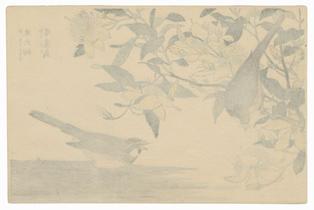 Birds and Yellow Flowering Bush by Shigemasa (1739 - 1820)