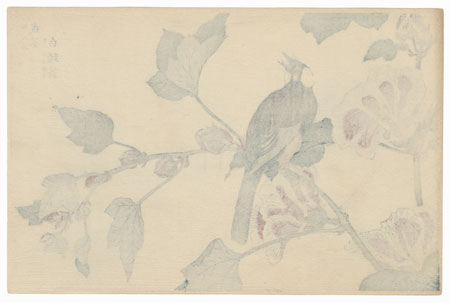 White-eared Bulbul and Hollyhock by Shigemasa (1739 - 1820)