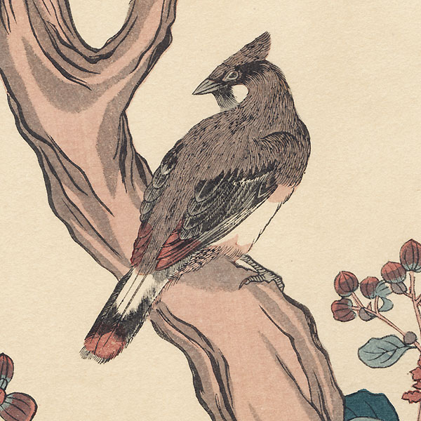 Waxwing and Crepe Myrtle by Shigemasa (1739 - 1820)