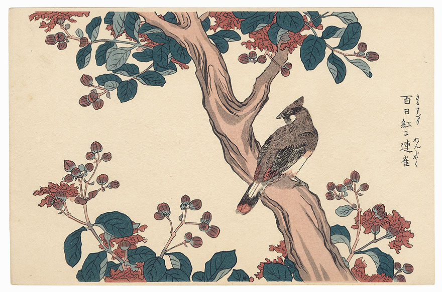 Waxwing and Crepe Myrtle by Shigemasa (1739 - 1820)