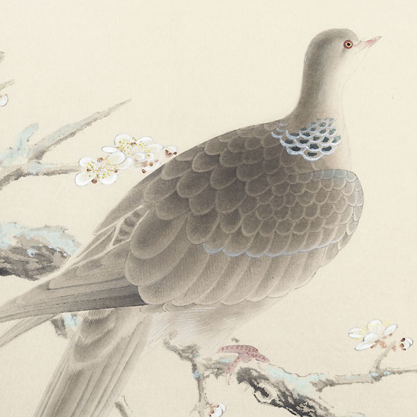 Dove and Cherry Tree by Shiho Sakakibara (1887 - 1971)