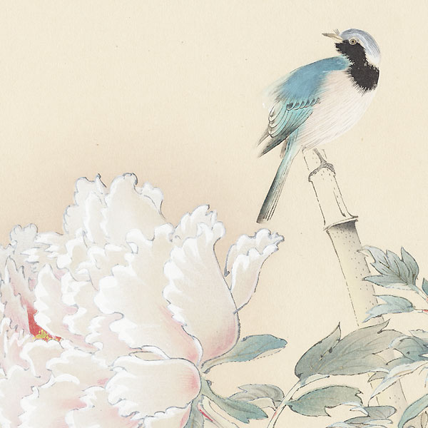 Bluebird and Peony by Shiho Sakakibara (1887 - 1971)