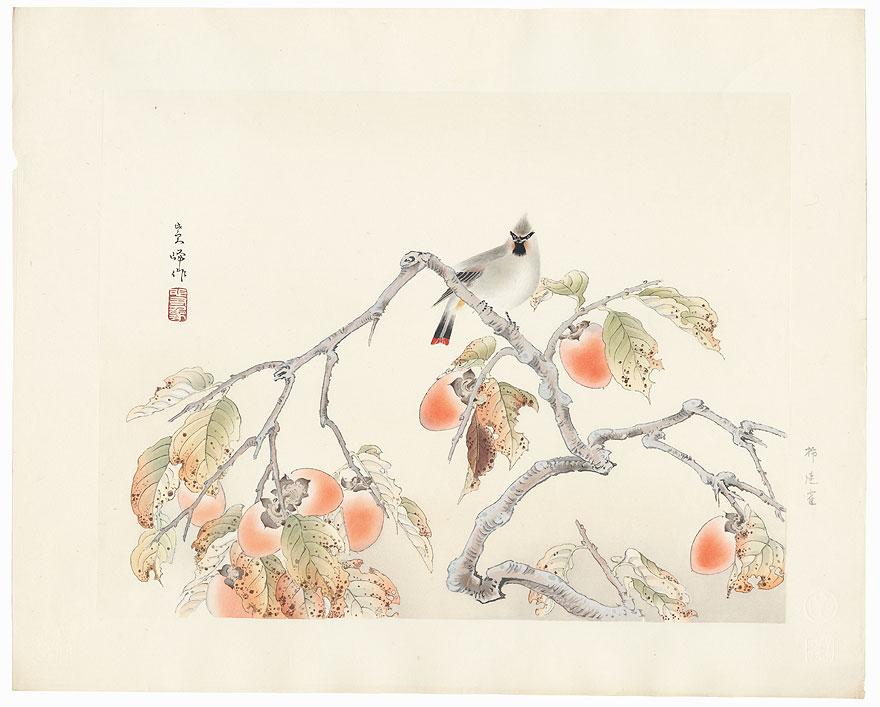 Waxwing and Persimmons by Shiho Sakakibara (1887 - 1971)