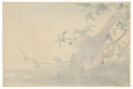 Redbelly and Pawpaw by Shigemasa (1739 - 1820)