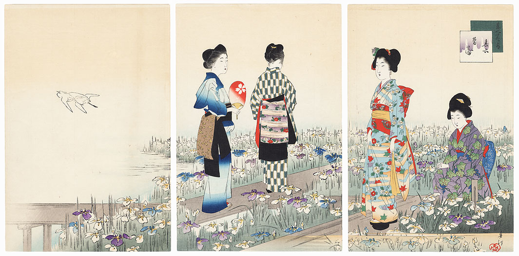 June: Iris Garden by Miyagawa Shuntei (1873 - 1914)