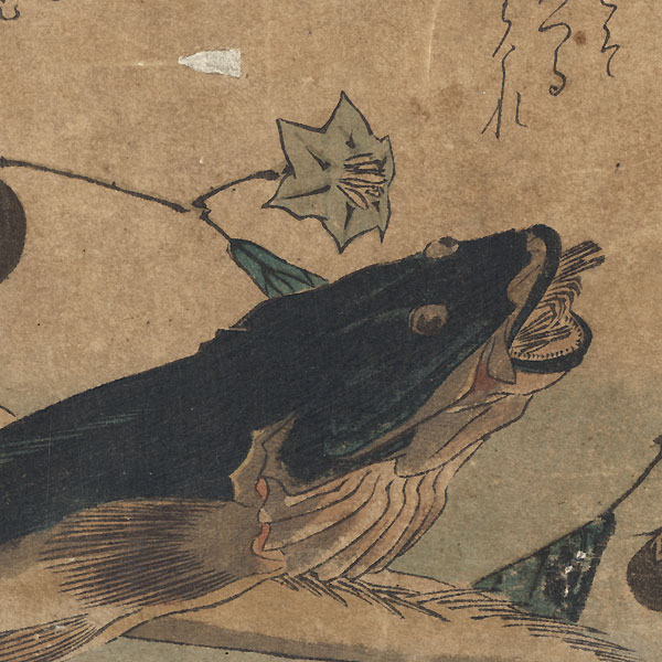 Flatheads and Eggplant by Hiroshige (1797 - 1858)
