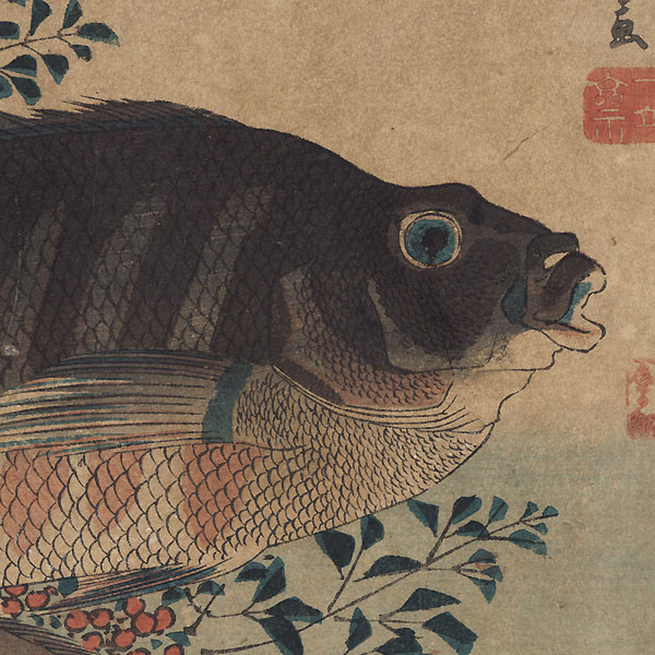 Striped Sea Bream, Rock-trout, and Nandina by Hiroshige (1797 - 1858)