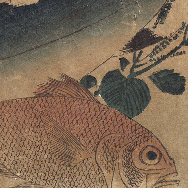 Sea Bass, Golden-eyed Sea Bream, and Shiso by Hiroshige (1797 - 1858)