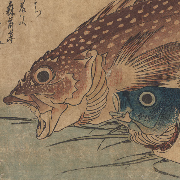 Scorpionfish, Isaki, and Ginger by Hiroshige (1797 - 1858)