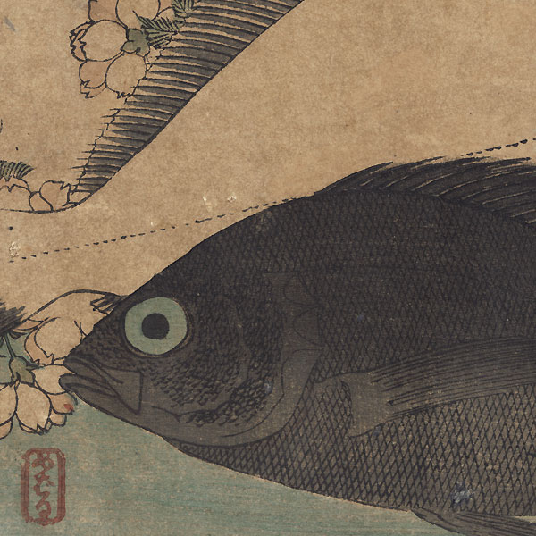 Halibut, Plaice, and Wild Cherry by Hiroshige (1797 - 1858)