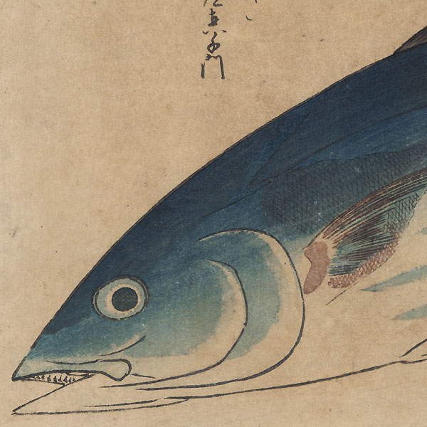 Bonito and Saxifrage by Hiroshige (1797 - 1858)