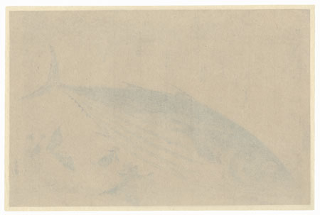 Bonito and Saxifrage by Hiroshige (1797 - 1858)